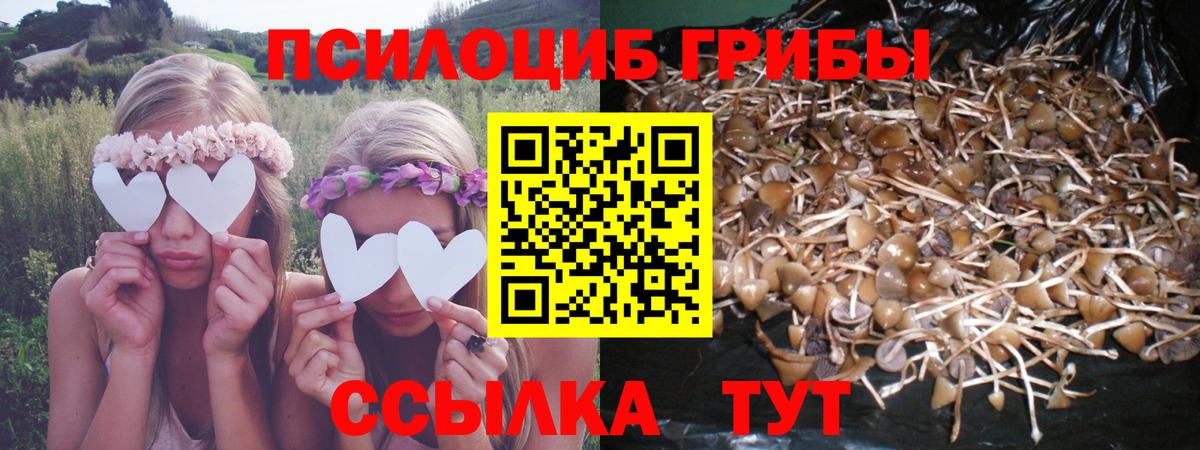 Галлюциногенные грибы GOLDEN TEACHER Щёлково