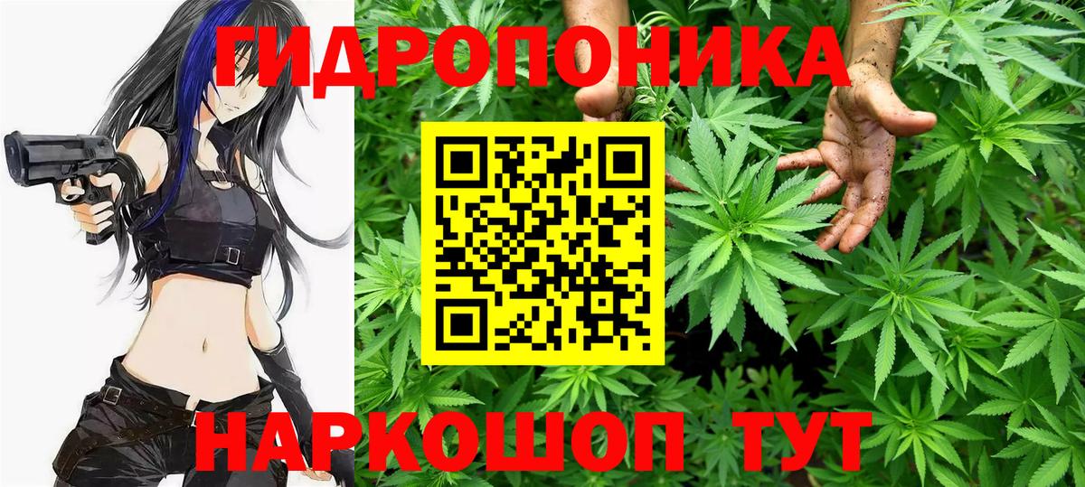 Щёлково  МАРИХУАНА семена  Бошки марихуана Ganja  Каннабис White Widow  Вход с VPN  Шишки марихуана семена 